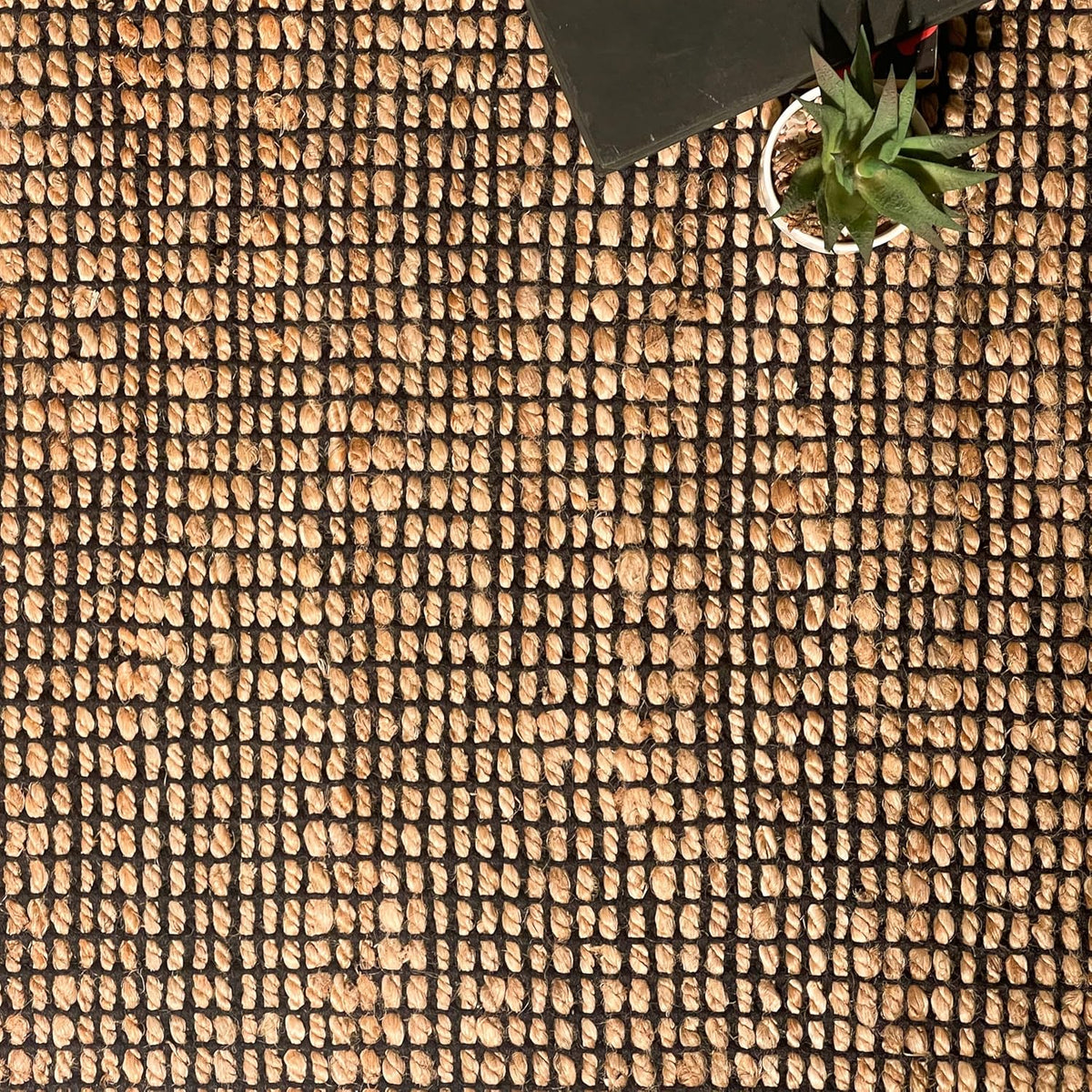 Monterey Jute/Cotton Rug-Natural Jute/Black-2'x3'